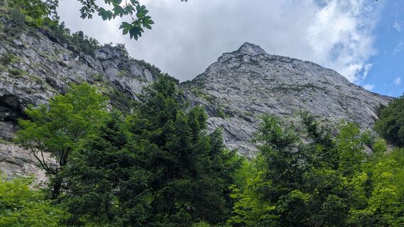 Fotografia z mukti na trase