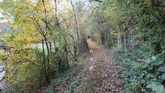beim Pferdehof westseitig am Weg vorbei