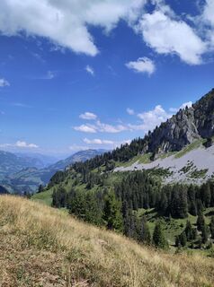 Photo de King Kong le long du parcours