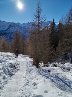Foto fra Alessandro Casapietra underveis på turen