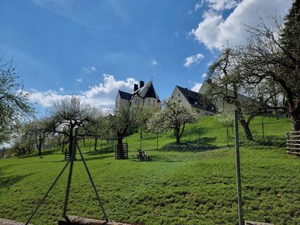 Foto von Felix entlang der Tour