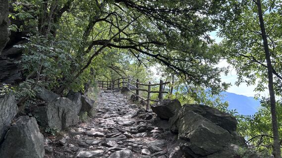 Foto von Eva Theiß entlang der Tour