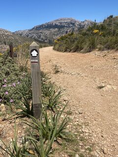 Foto från Rainer Pieper under resans gång