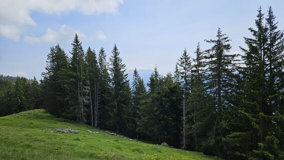 Photo de Christian Thomas le long du parcours