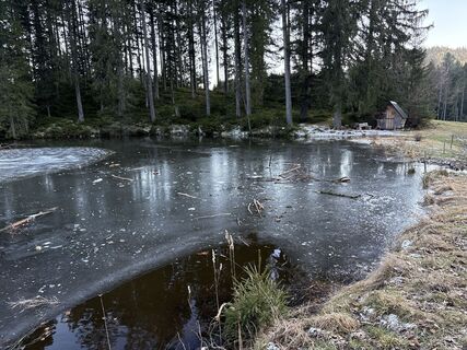 Foto von Yvonne Van gestel entlang der Tour