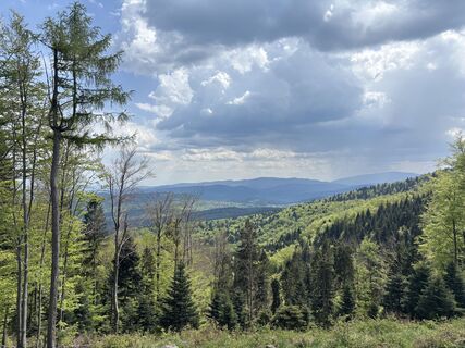 Fotografija s spletne strani Luk Sob na poti