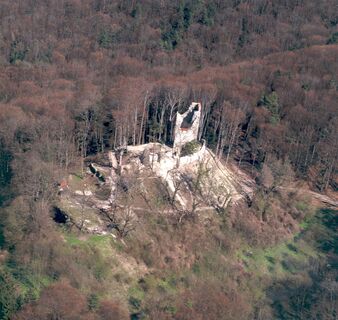 Luftansicht Ruine Neuburg