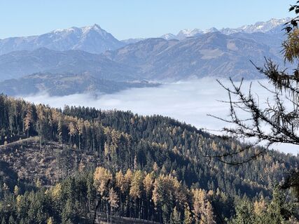 Fotografia z Anton Lilek na trase