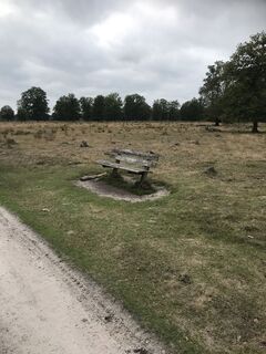 Foto von H Wouters entlang der Tour