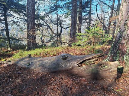 Foto de Katharina a lo largo del recorrido