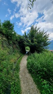 Fotografia z Erika Stricker na trase