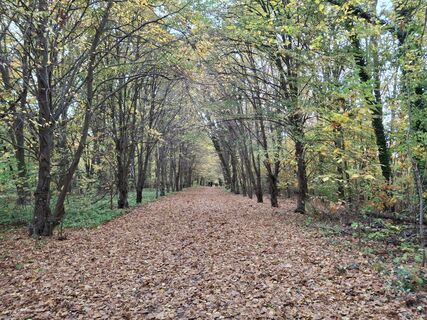Zdjęcie z Barnabàs Barta wzdłuż trasy
