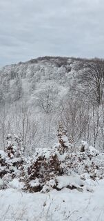 Foto von János Zsolt Mahr entlang der Tour