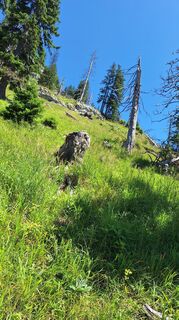 Zdjęcie z RobuC wzdłuż trasy