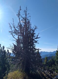 Foto von Chri San entlang der Tour