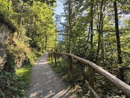 Fotografija s spletne strani Lena Eder na poti