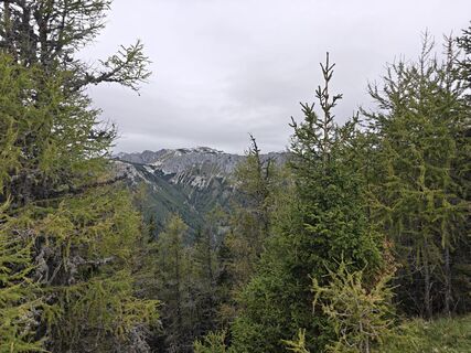 Photo from Sam Tmoat along the tour