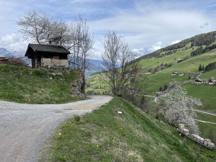 Foto von kainjo entlang der Tour