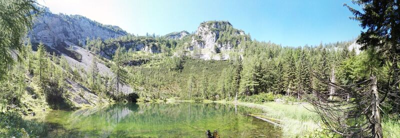 Türnsee