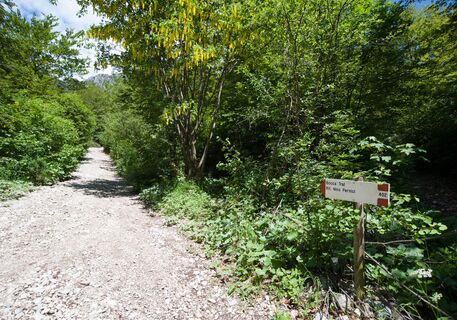 Auf der SAT-Route 402