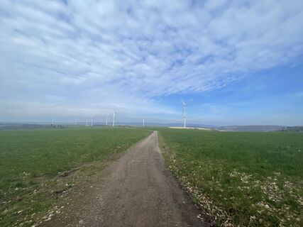 Foto von Ralf Bickel entlang der Tour