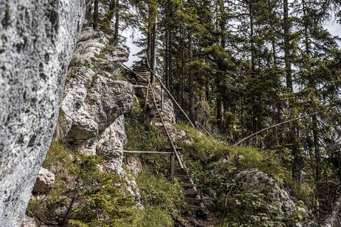 Holzstiege beim Anstieg aufs Gindlhorn