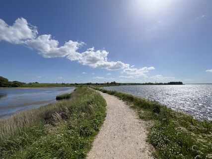 Photo de Harald Engel le long du parcours