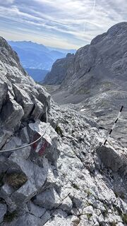 Photo de Mountain Cat ? ⛰️ le long du parcours