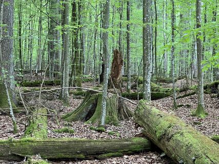 Photo de Volki F. le long du parcours