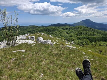 Foto von nordbergschnecke entlang der Tour