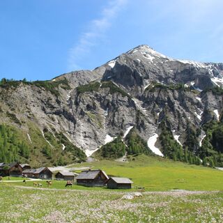 Die Ursprungalm im Frühsommer