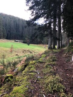 Wanderung Kälbertal im Oktober 2020
