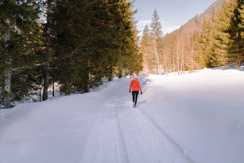 Entspannen in der Ruhe entlang des Ofenstegweg