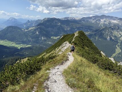 Fotografija s spletne strani Dani Geiger / Natur_erleben_dg na poti