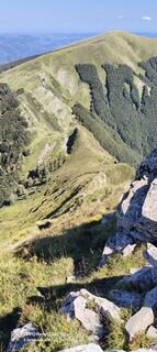 Photo de Sherpa 960 le long du parcours