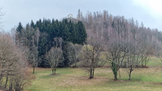 Foto van Fabrizi Mellano langs de tour