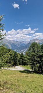 Photo de Micha 316 le long du parcours