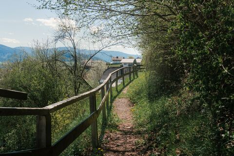 92 - fuerstensteig-3 © Christoph Lukas (2025-06).jpg