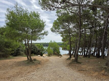 Foto von Patrick Dubois entlang der Tour