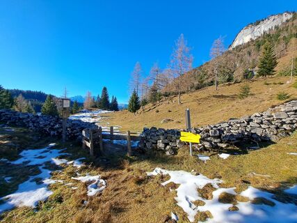Fotografia z Walter Köllner na trase