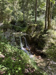 Foto von Sandra Wagemans entlang der Tour
