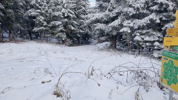 Fotografia z Pur Alexander na trase