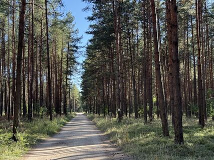Foto de Moni Schölch a lo largo del recorrido