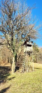Foto von Sandy entlang der Tour