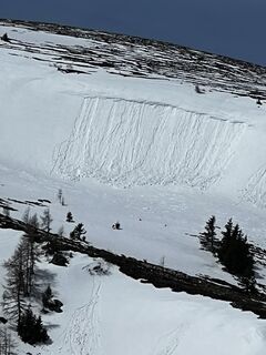 Photo de Schabsi le long du parcours