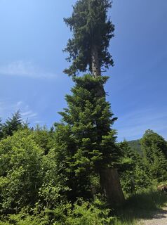 Foto von Michel Kennel entlang der Tour