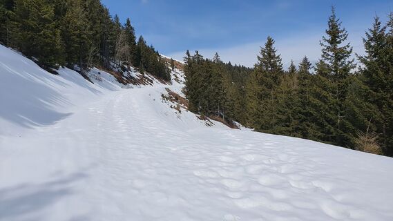 0.6 km 1. Gabelung: Rechts hinunter