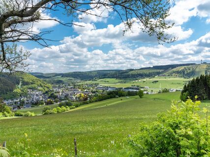 Blick vom Treis im Frühling