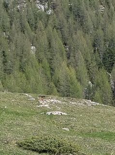 Foto de corrado a lo largo del recorrido