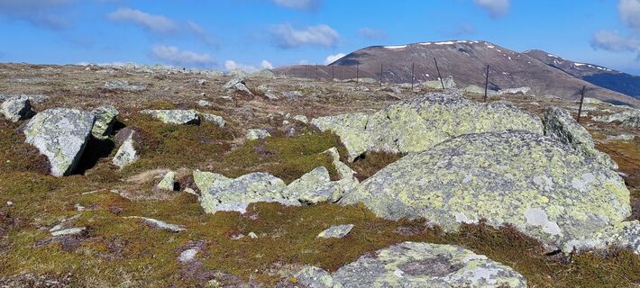 Foto von Max P. entlang der Tour
